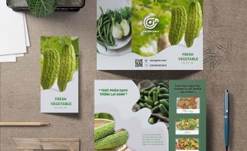 99+ mẫu in catalogue nông sản đẹp, chuyên nghiệp, thu hút khách hàng